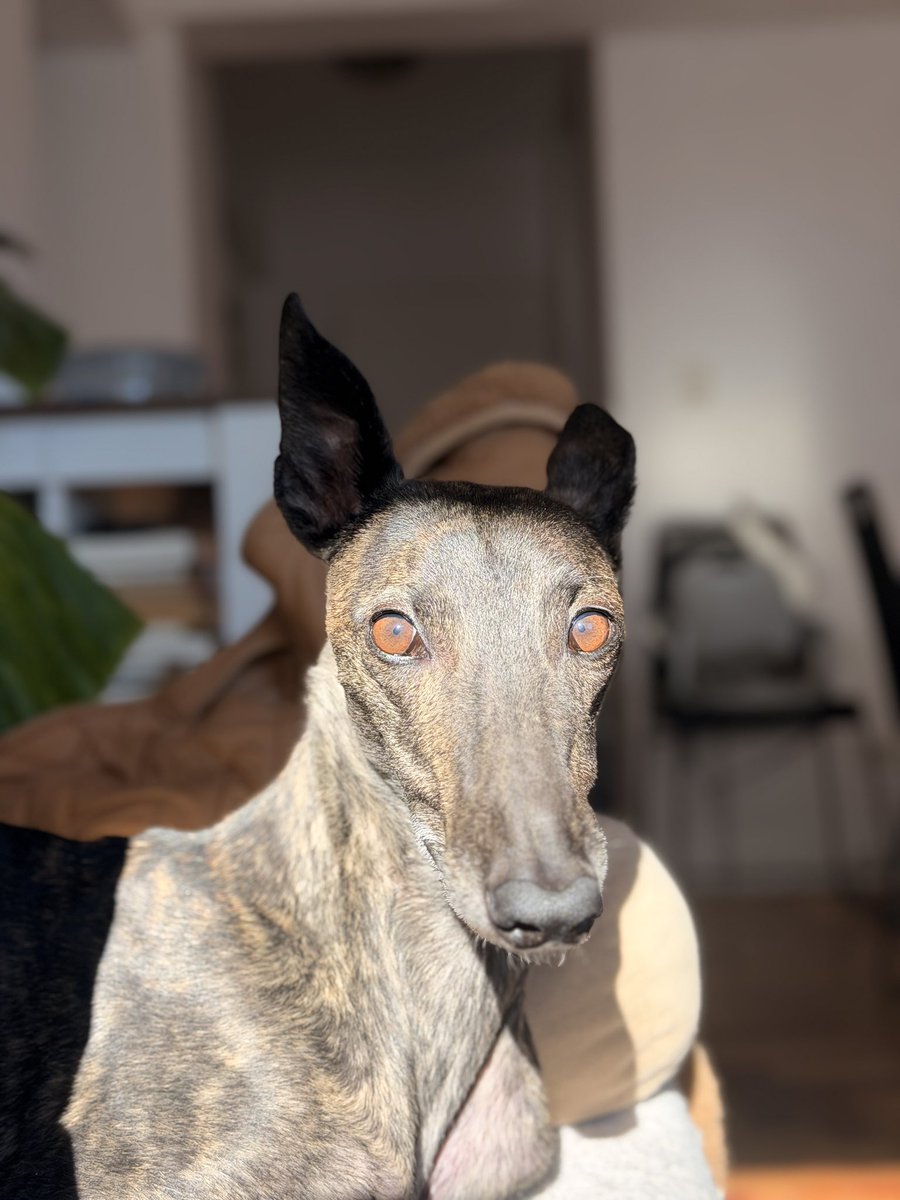 Chloe tweet media
