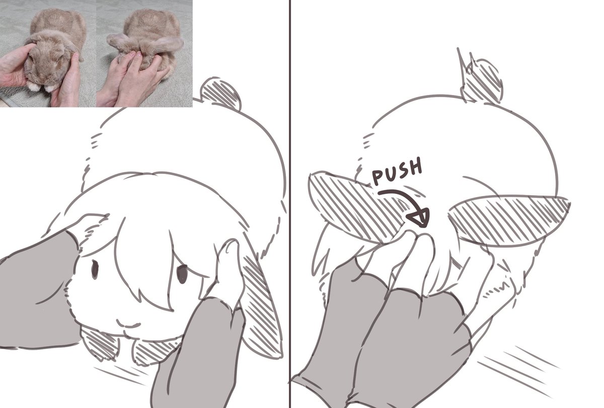 xs2wa_'s tweet photo. 🐰 https://t.co/pj4koPY0aW