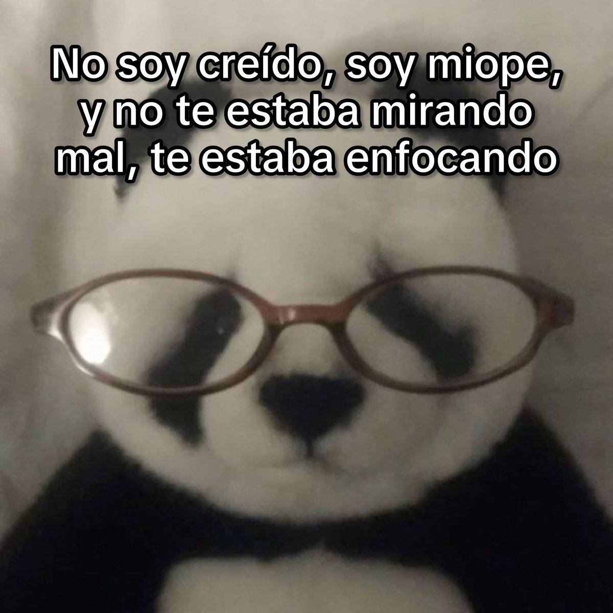 flanchota's tweet photo. https://t.co/DVSix4T0VJ