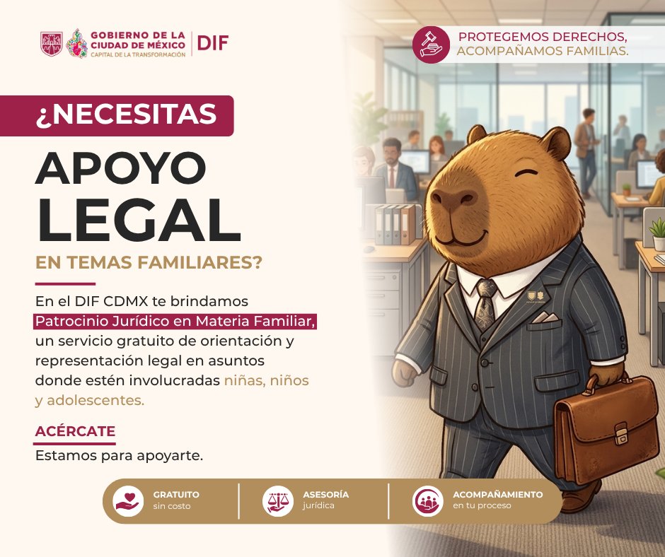 DIF Ciudad de México tweet media