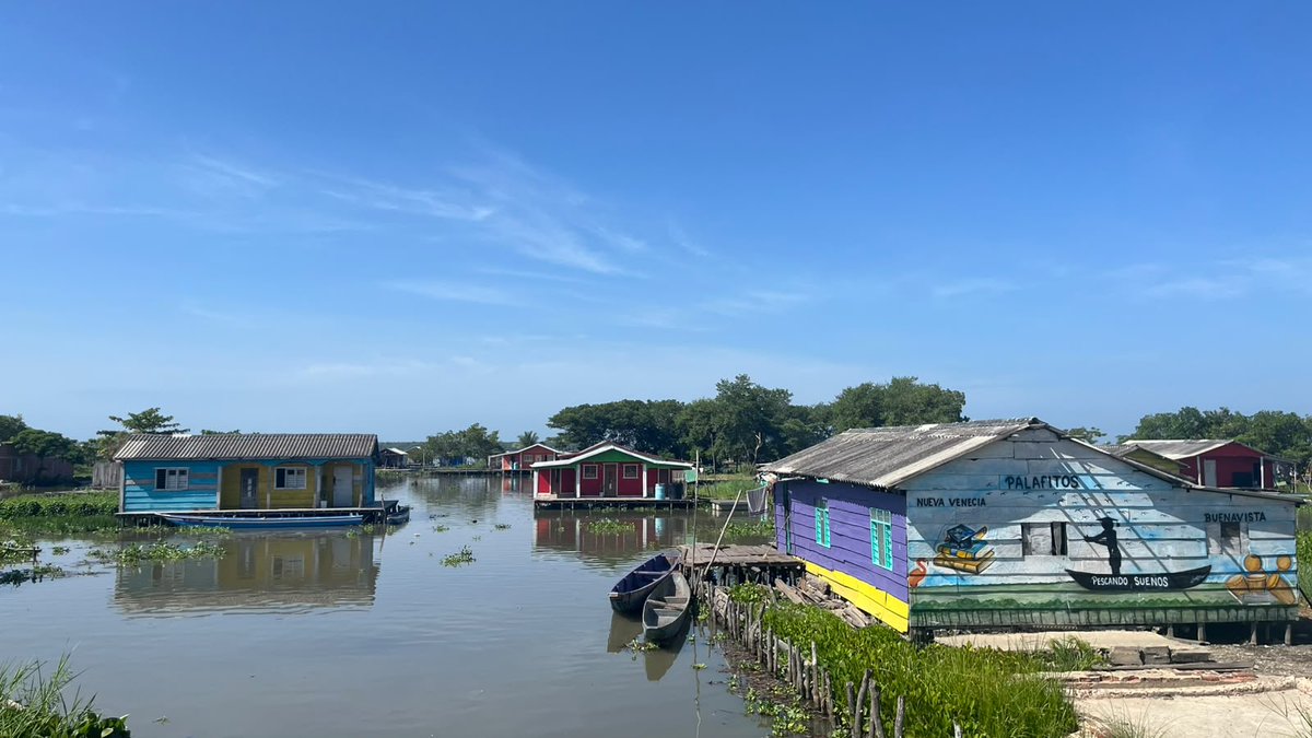 igacColombia's tweet photo. 🙌Llegamos a la Ciénaga Grande de Santa Marta con nuestro proyecto de #ToponimiaNativa.

Con pueblos palafitos de Buenavista y Nueva Venecia-el Morro, comunidades afro, campesinos y el pueblo Kogui, documentamos lugares de importancia cultural y tradicional que permitan fortalecer el conocimiento geográfico de este territorio desde las voces de quienes lo habitan.🌎🌊🌳