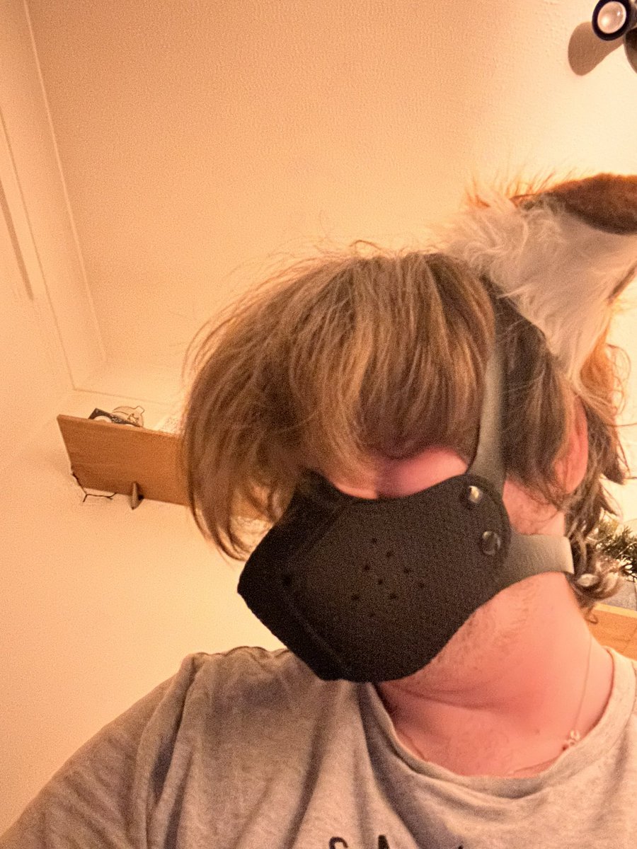 bifemboy230's tweet photo. Woof woof #femboy #femsky #sissy #chastity #twink #trap #gay #nsfw #femboynsfw #chastity #lockedboy #nsfwsky #femboythighs
#femsky #femboythighhighs
#femboyz
#goodboy #bisexual #pup #puppyplay #pupboy #dogboy #goodboy #femboy #fem #femboyfriday https://t.co/z0gj2TKStN