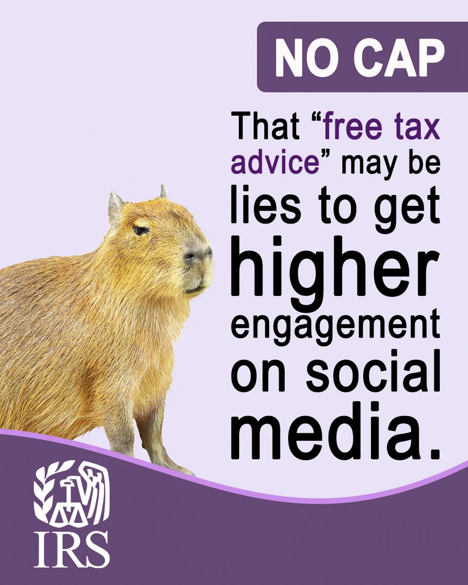 A capybara standing in front of a purple background. Text: No CAP. That “free tax advice” may be just lies to get higher engagement on social media. IRS logo.
