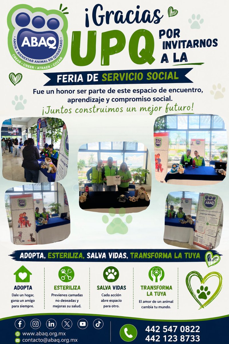 ABAQQueretaroBA's tweet photo. ¡Gracias, Universidad Politécnica de Querétaro (UPQ)! 💙
Queremos expresar nuestro más sincero agradecimiento a la Universidad Politécnica de Querétaro por invitarnos a participar en su Feria de Servicio Social.
#ABAQ #ServicioSocial #UPQ #Adopta #Esteriliza #SalvaVidas https://t.co/0tdjzMSzF4