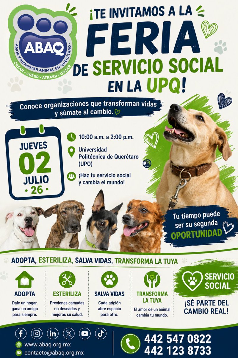 ABAQQueretaroBA's tweet photo. ¡Gracias, Universidad Politécnica de Querétaro (UPQ)! 💙
Queremos expresar nuestro más sincero agradecimiento a la Universidad Politécnica de Querétaro por invitarnos a participar en su Feria de Servicio Social.
#ABAQ #ServicioSocial #UPQ #Adopta #Esteriliza #SalvaVidas https://t.co/0tdjzMSzF4