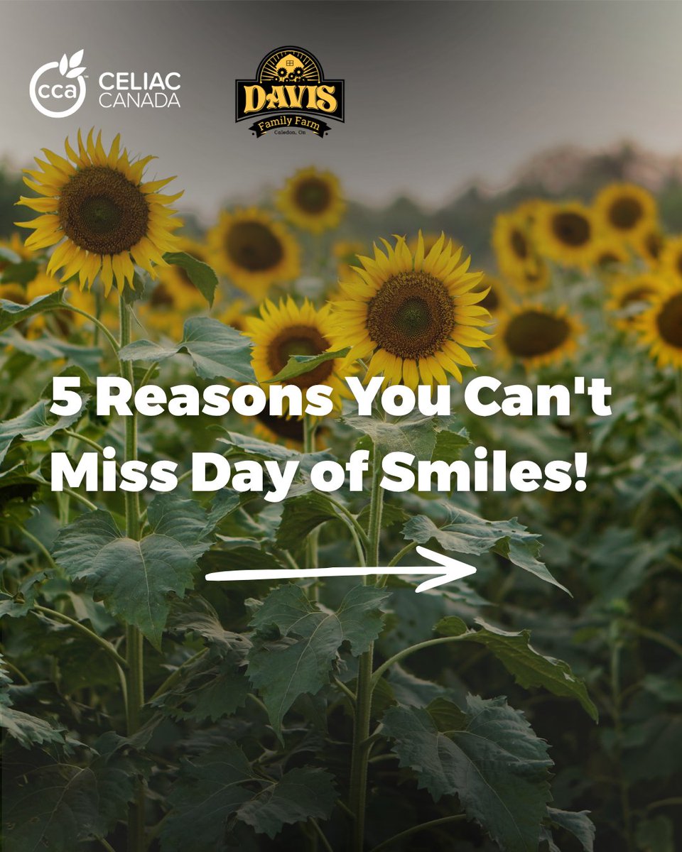 CCAceliac's tweet photo. Looking for the perfect summer day out? 🌻

Join us at Celiac Canada's Day of Smiles on July 25 in Caledon!

Buy tickets now: https://t.co/lDkoGxmJkh

#CeliacCanada #DayOfSmiles #GlutenFreeLiving #CeliacDisease #GlutenFreeOntario #SunflowerSeason #CaledonEvents https://t.co/ezYhYXtmH4