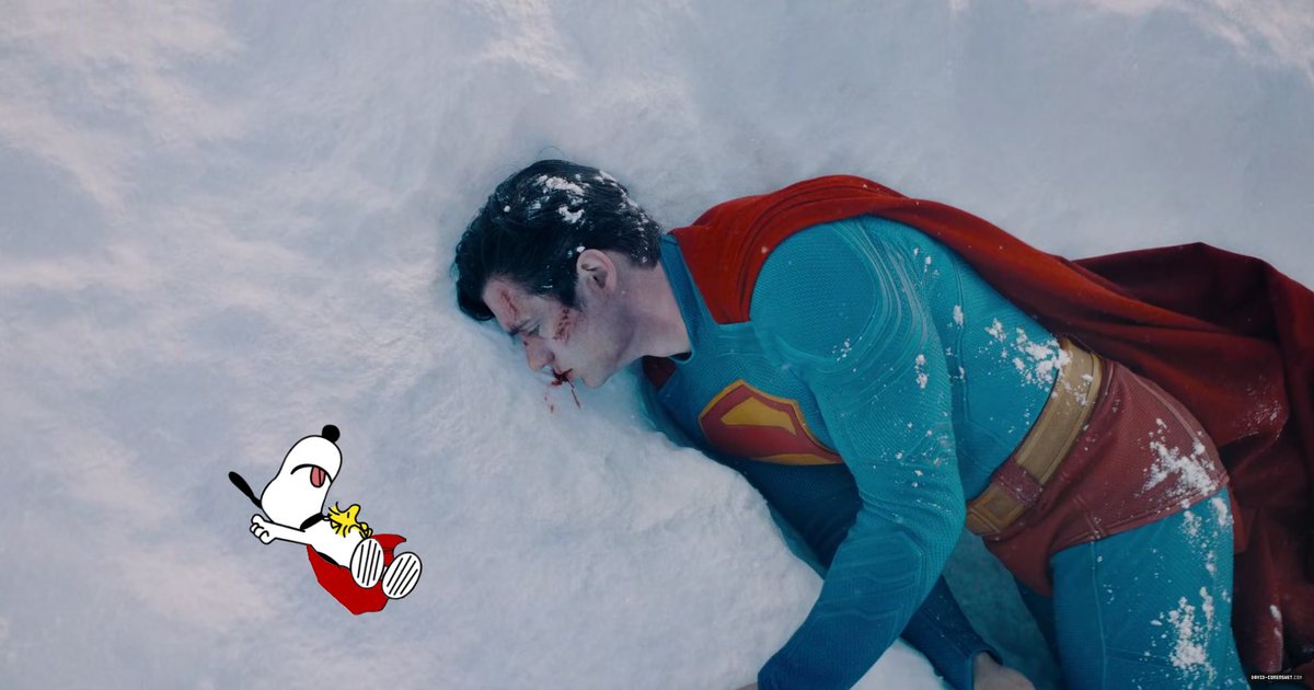 david & snoopy tweet media