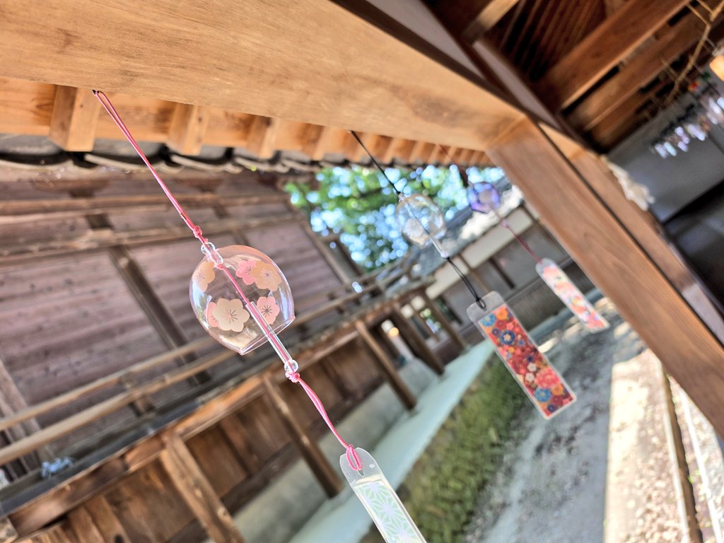 nao_feat_tk's tweet photo. おはワン🐶🎶

気が付けば早７月も２週目の土曜日🎋

続いた☂️が終わったと思ったら…💦
もぅ猛暑続き…🥵 https://t.co/i0UaInT4o7