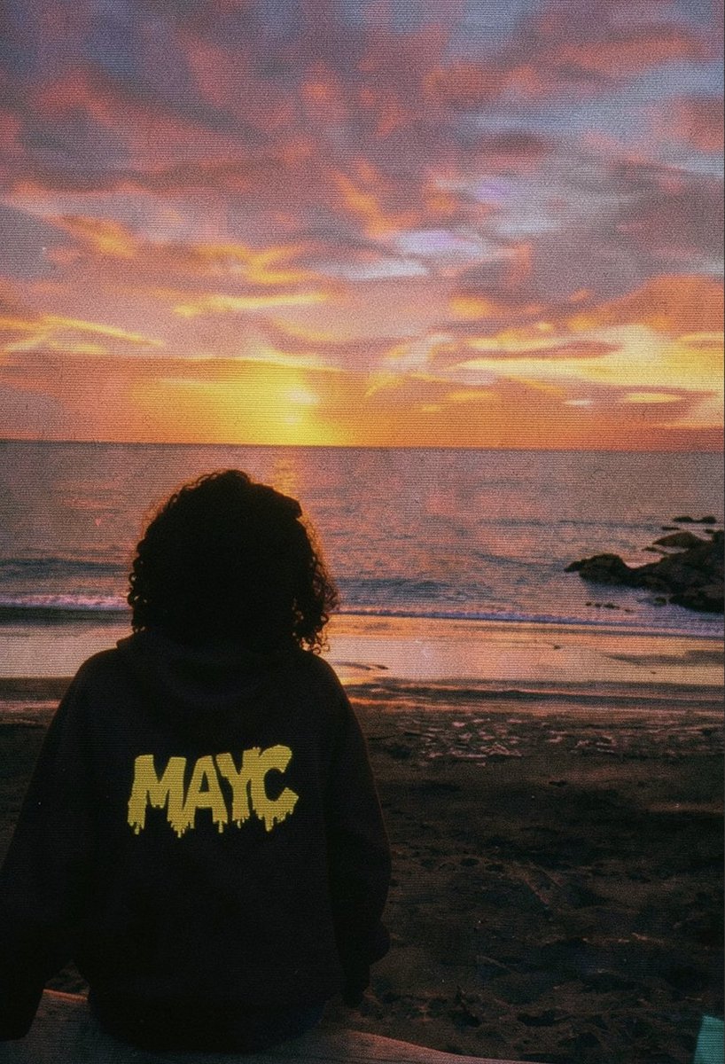Bored Ape Yacht Club 🍌 tweet media