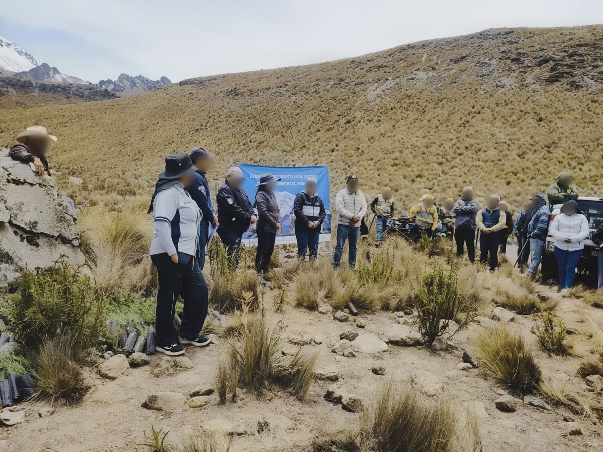 PROFEPA_Mx's tweet photo. 📍Puebla | Con el objetivo de recuperar zonas forestales afectadas y fortalecer la conservación de los ecosistemas, personal de Profepa, autoridades del sector ambiental federal y ejidatarios de distintas regiones de Puebla, participaron en dos jornadas de reforestación.

Como parte de estas acciones, se plantaron 500 árboles en el Parque Nacional Pico de Orizaba y se realizaron acciones de reforestación en el municipio de Santa Rita Tlahuapan.

Conoce más ➡️ https://t.co/afnUup7N6g 
@SEMARNAT_mx  @CONAFOR  @CONANP_mx  @conagua_mx