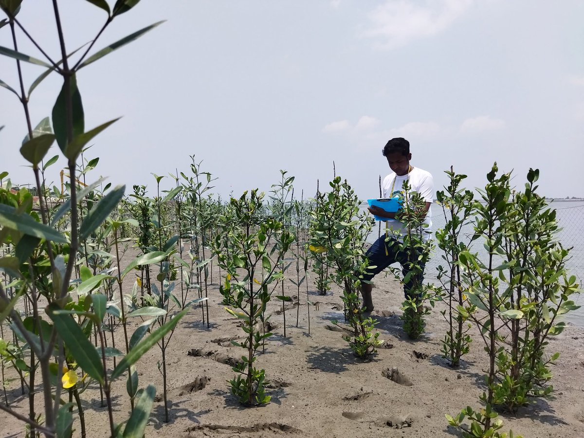 Tapas_Mollick's tweet photo. 47 people have already chosen to stand with the Sundarbans.

Will you join them?

Join our community-led mangrove restoration journey in Bangladesh.

https://t.co/M4TPlsOoiq

#Mangroves4Life #MaEarthRound3 #Sundarbans #MaEarth #Bangladesh

@maearthstudio https://t.co/GPX8NWessP