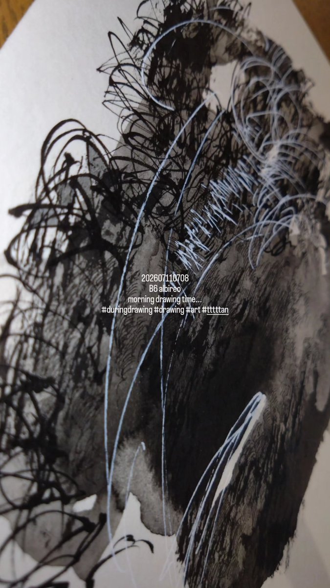 202607110708 B6 albireo morning drawing time #duringdrawing