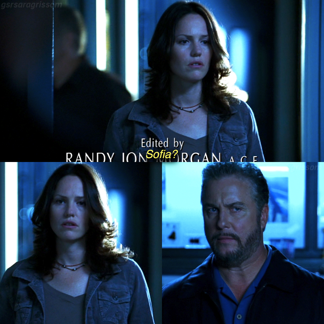 gsrsaragrissom's tweet photo. Awkward.. 2.0 lol
#csi #csilasvegas #sarasidle #jorjafox #gilgrissom #williampetersen #csivegas https://t.co/22WhvSOemF