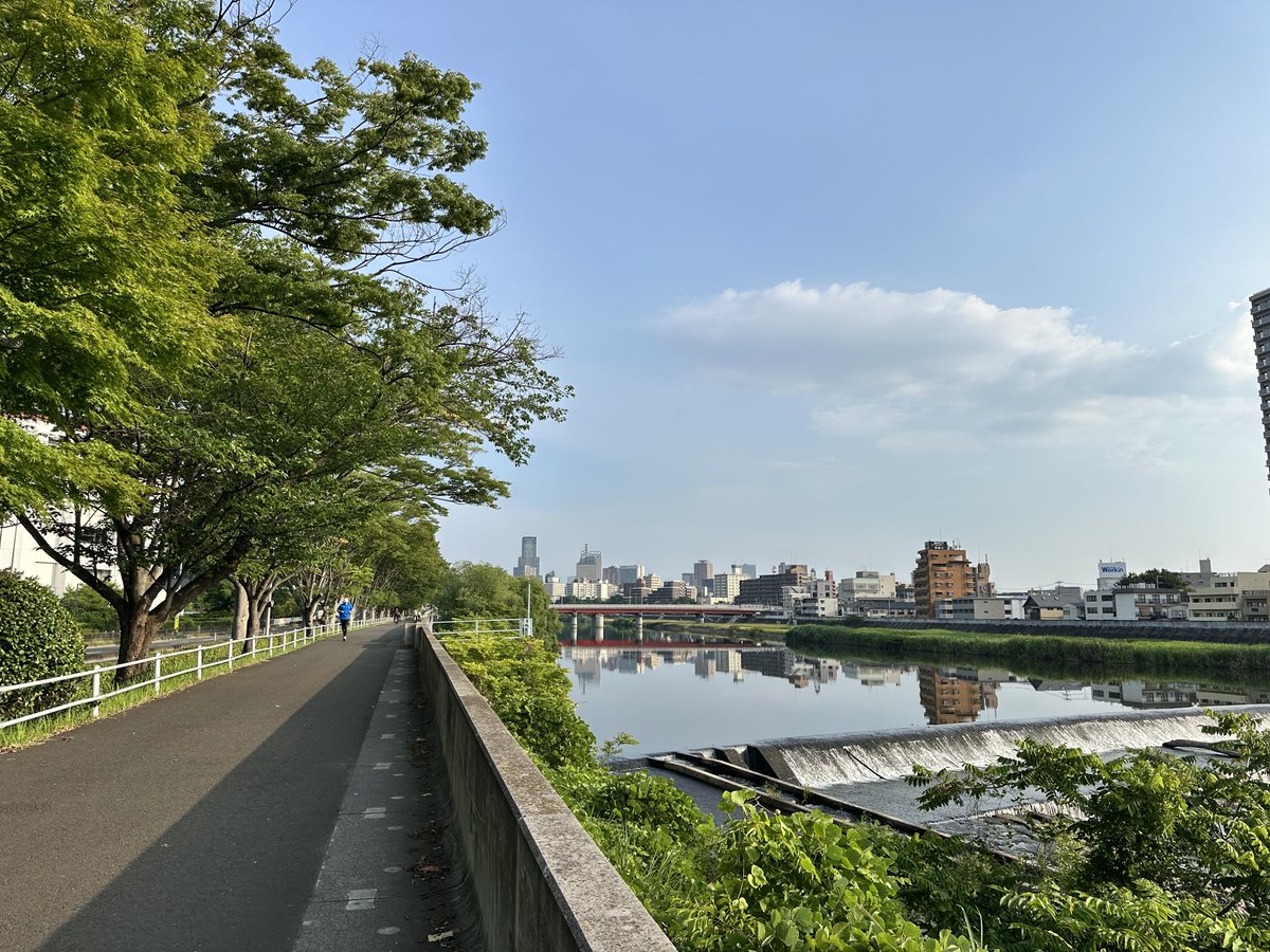 広瀬川にカワセミ探しに来てました 3枚目に亀写ってるのわかるかな？