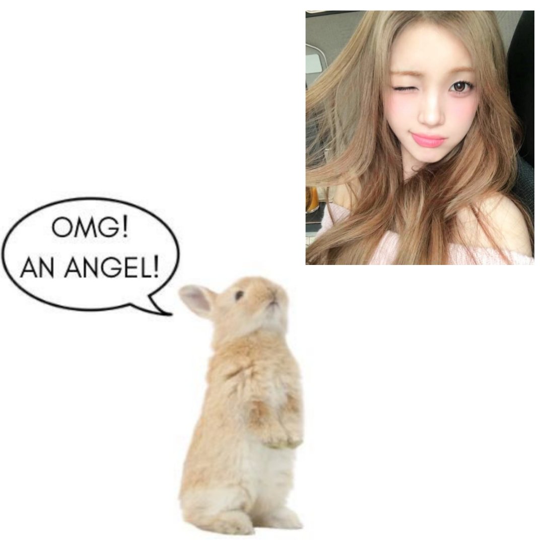 kupcakemoji's tweet photo. ⠀.⠀⠀⠀⠀˚　. 𝄞❤︎ ̤̤     ⠀.⠀⠀⠀⠀˚　. 𝄞❤︎  .⠀⠀⠀⠀˚　. https://t.co/8s1wjXiu4N