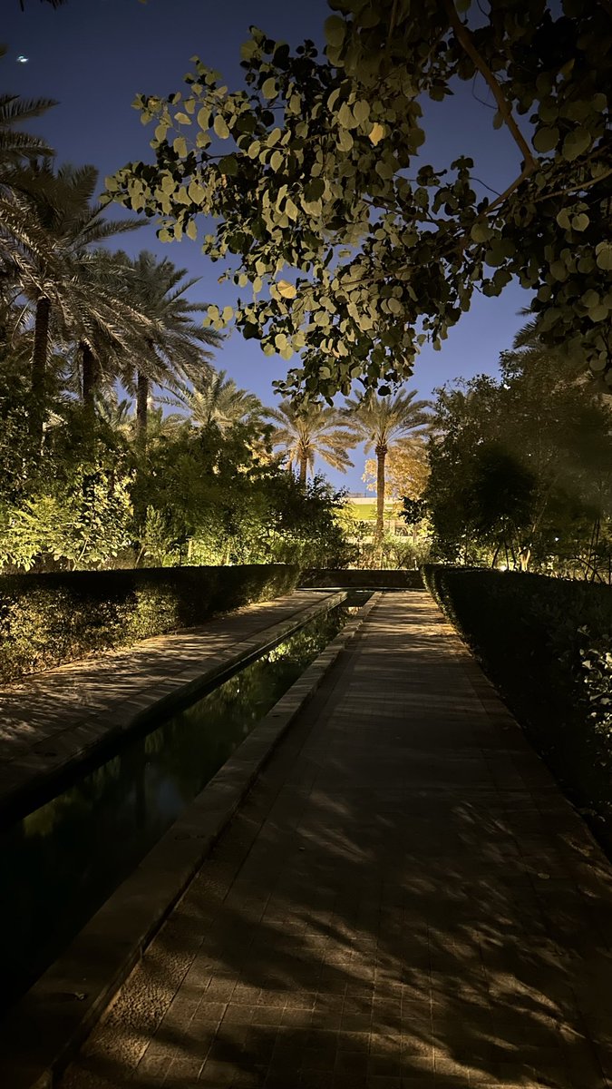 i3ee9_'s tweet photo. أحلام ومدينــة ليـّـل ونخيــل وهبــوب 🌴❤️ https://t.co/xC7JzMUPKj