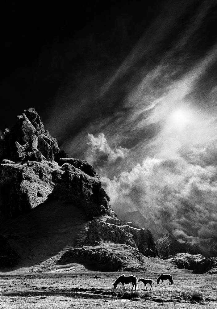 twistopherrobin's tweet photo. #Photography #Monochrome #EdFreeman https://t.co/mjOZrwqZWf