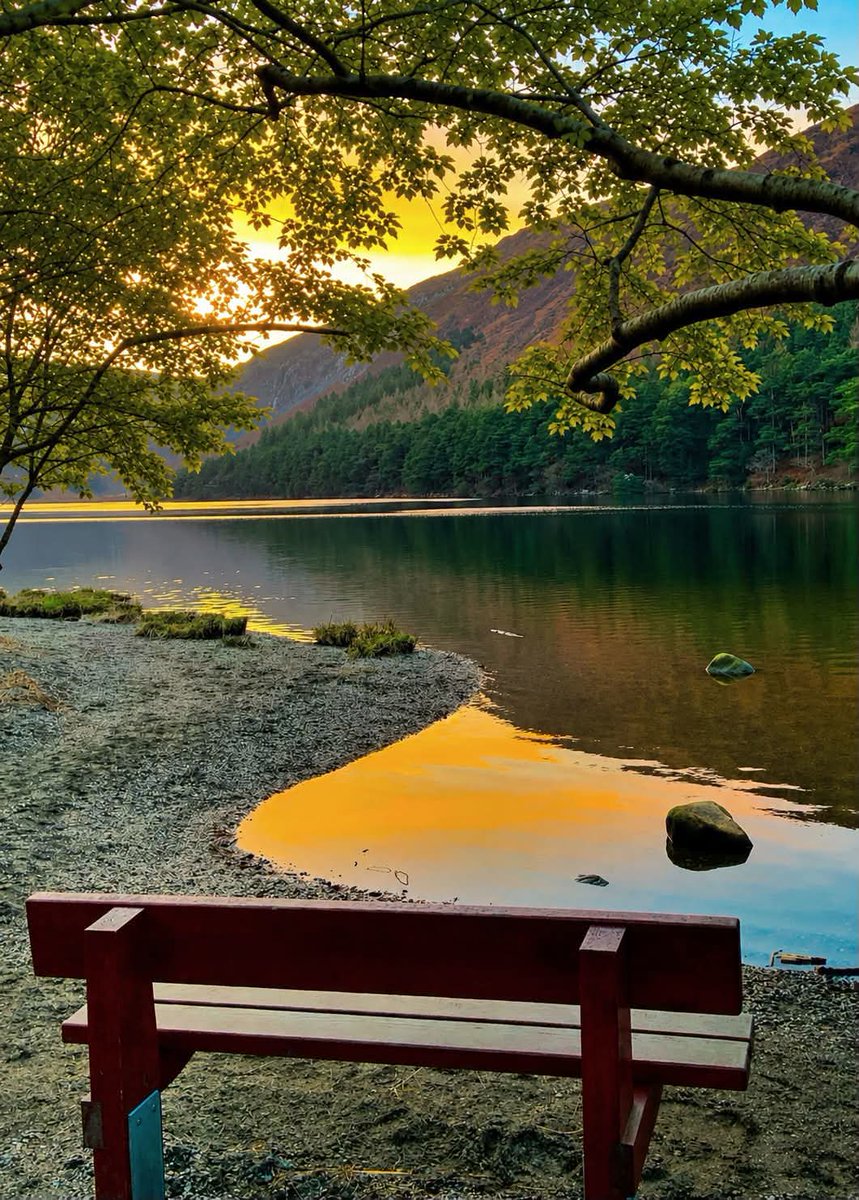 ThisIsIreland3's tweet photo. 📍Glendalough - Co. Wicklow 🇮🇪

In its truest sense, nature reveals its wonder when we pause long enough to truly see it. To appreciate beauty in its simplest forms is to understand that everything thriving around us is nothing short of glorious 🏞️💚🌅

📸 Mad about Ireland https://t.co/zTC8o09PG3