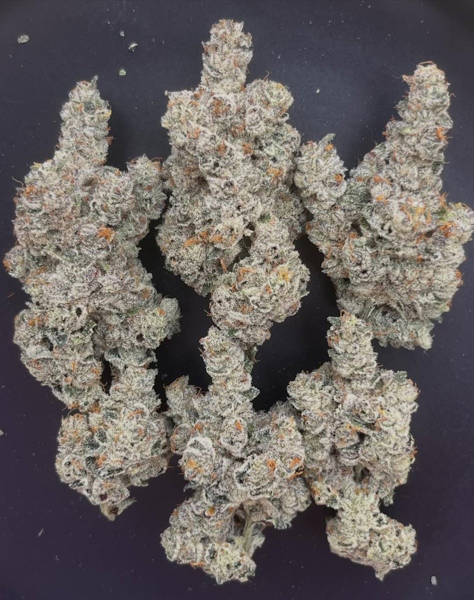 jamesbryan0420's tweet photo. Apple Junky “Quality smoke”🔥💚 https://t.co/EOXTZYaoX0