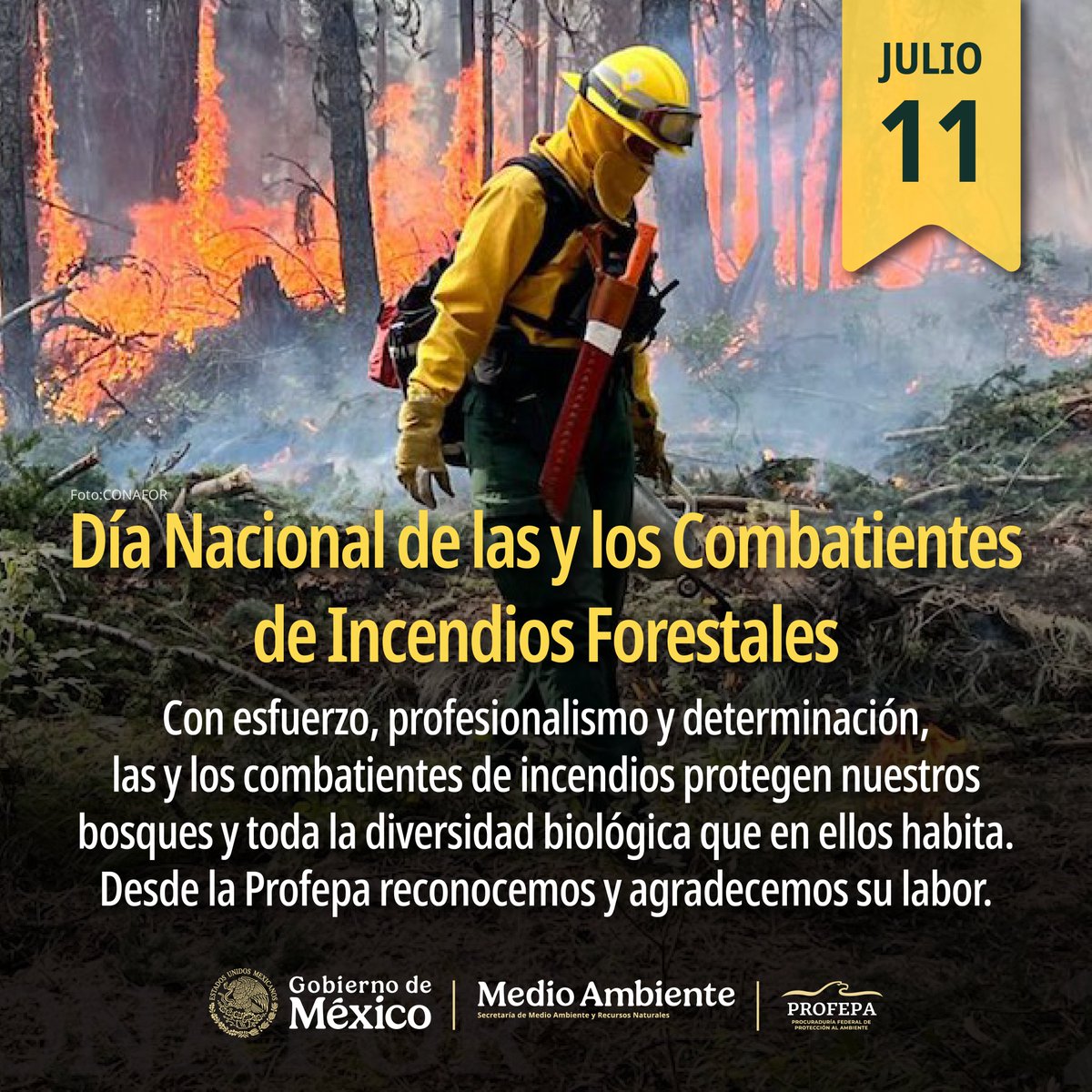 PROFEPA_Mx's tweet photo. 🔥🌳 En el Día Nacional de las y los Combatientes de Incendios Forestales, reconocemos a quienes, con valentía, compromiso y trabajo en campo, contribuyen a proteger nuestros ecosistemas. En la Profepa valoramos su labor como parte de los esfuerzos para conservar el patrimonio forestal de México.