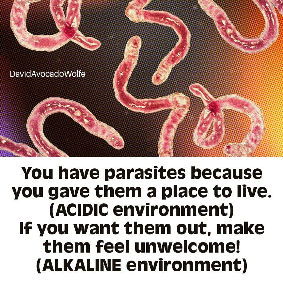 DavidWolfe's tweet photo. https://t.co/w7zLz4plUn