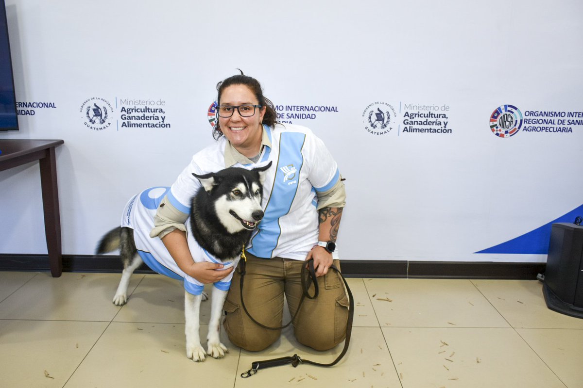 OIRSAoficial's tweet photo. 🫡 El reconocimiento fue otorgado a los binomios conformado por Rodolfo Alejandro Rosales Martínez y 🐶 "Elvis"; Jennifer Andrea Ponce Stokvis y 🐶 "Seth"; Sindy Coralia Cardona García y  🐶 "Yeya"; y Adonías Matusalén Orozco Orozco y 🐶 "Baki". https://t.co/Haf3EiCnOY