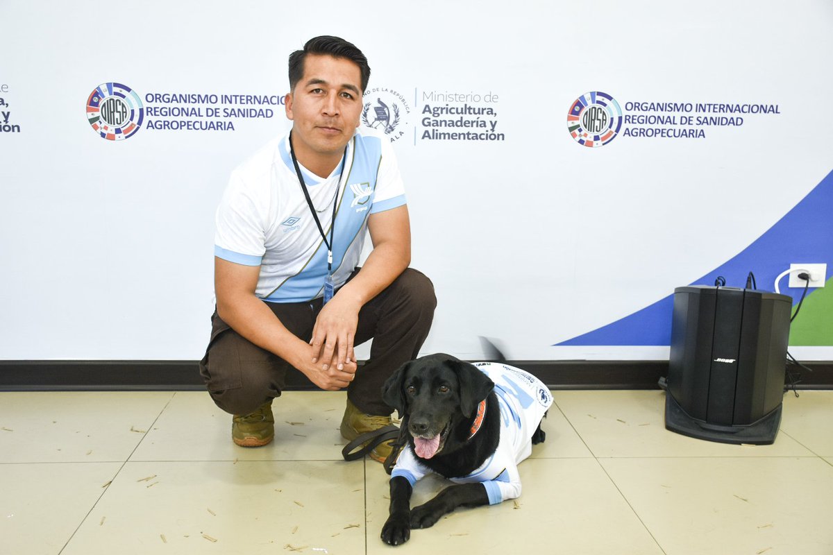 OIRSAoficial's tweet photo. 🫡 El reconocimiento fue otorgado a los binomios conformado por Rodolfo Alejandro Rosales Martínez y 🐶 "Elvis"; Jennifer Andrea Ponce Stokvis y 🐶 "Seth"; Sindy Coralia Cardona García y  🐶 "Yeya"; y Adonías Matusalén Orozco Orozco y 🐶 "Baki". https://t.co/Haf3EiCnOY