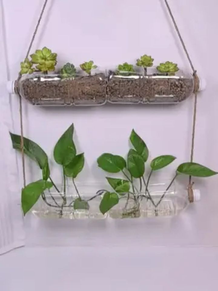 Suppengruen's tweet photo. Turn old mason jars into cute hanging planters with just rope u0026 hot glue! A quick DIY that brings greenery to tiny spaces https://t.co/ezBgGB9Hol