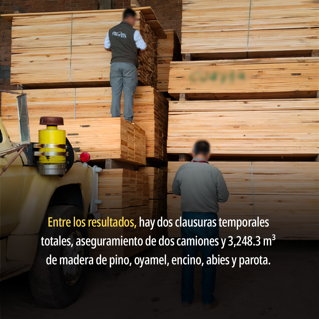 PROFEPA_Mx's tweet photo. Como parte del segundo multioperativo forestal simultáneo en 25 estados de México, te presentamos los resultados más relevantes obtenidos en #Michoacán.

📌Conoce todos los resultados del operativo ➡️ https://t.co/hpxocuZfHU https://t.co/TOwgUCOG0n