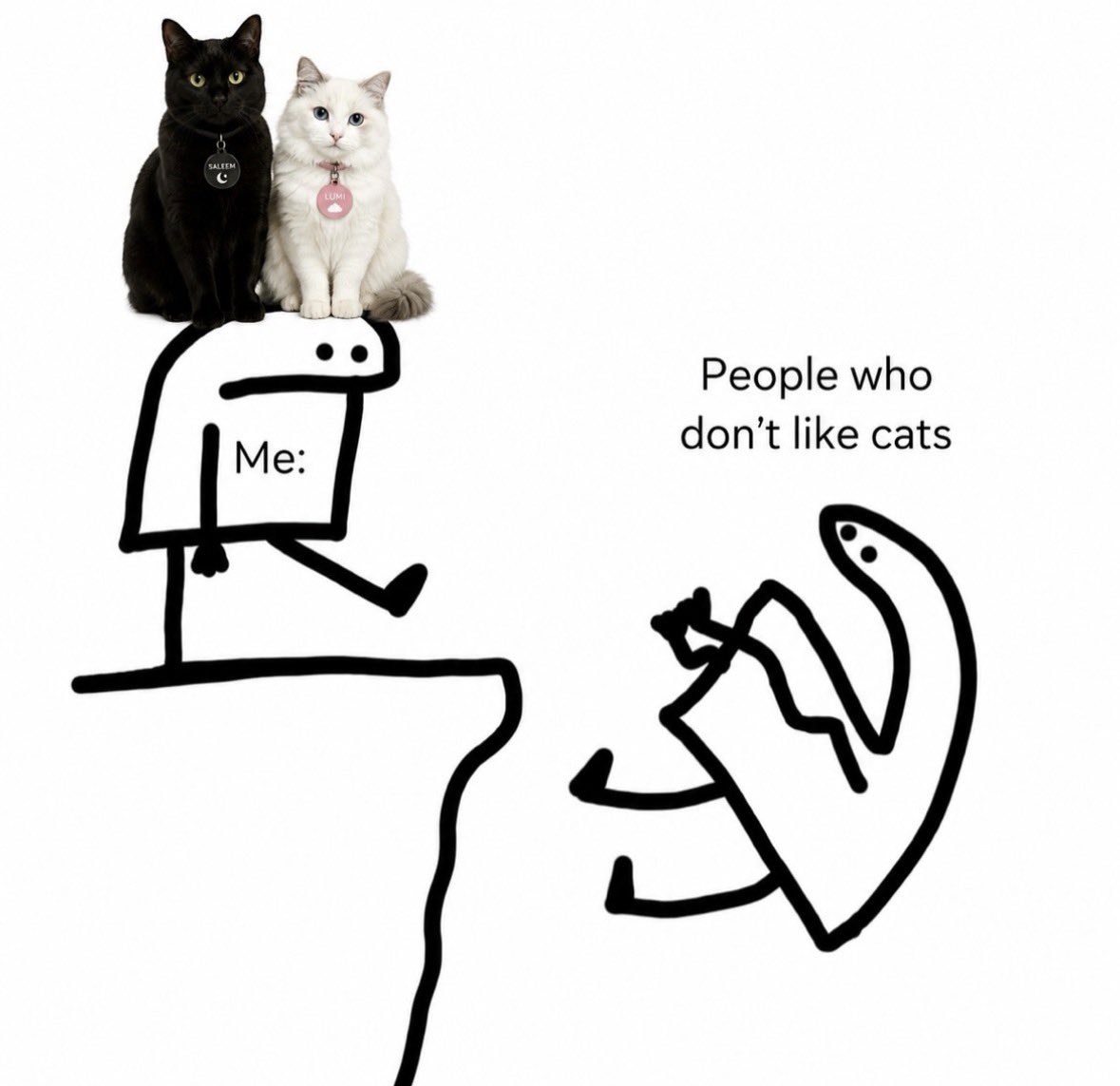 blackscats's tweet photo. https://t.co/BveWibWff2