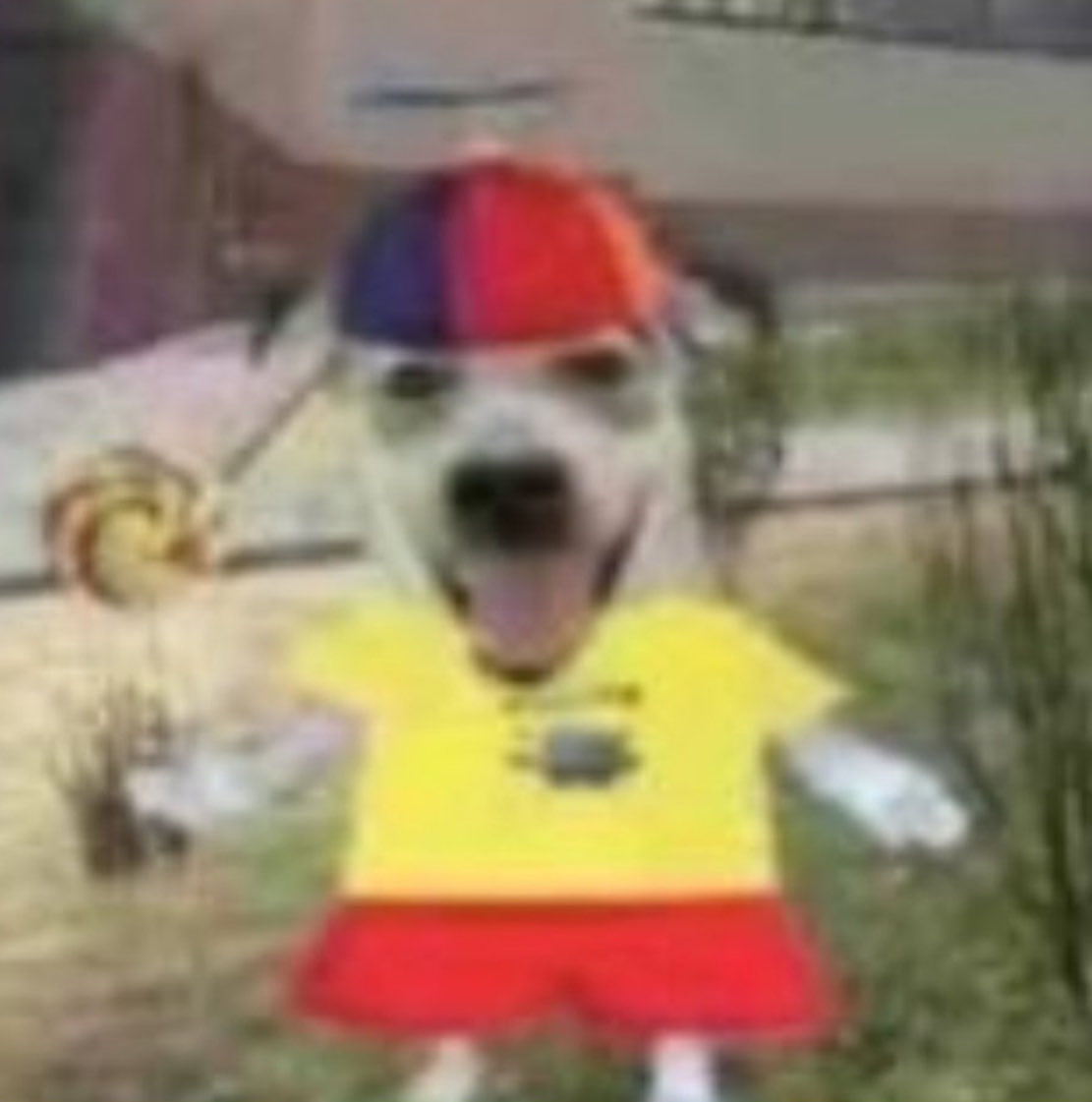 stsgbrainrot's tweet photo. @harls_quin @SilenceFaguette @moiralabubu @ImogenGWrites lmaooo the bare screenshot 💀💀 i crode https://t.co/EIsUucA3XI