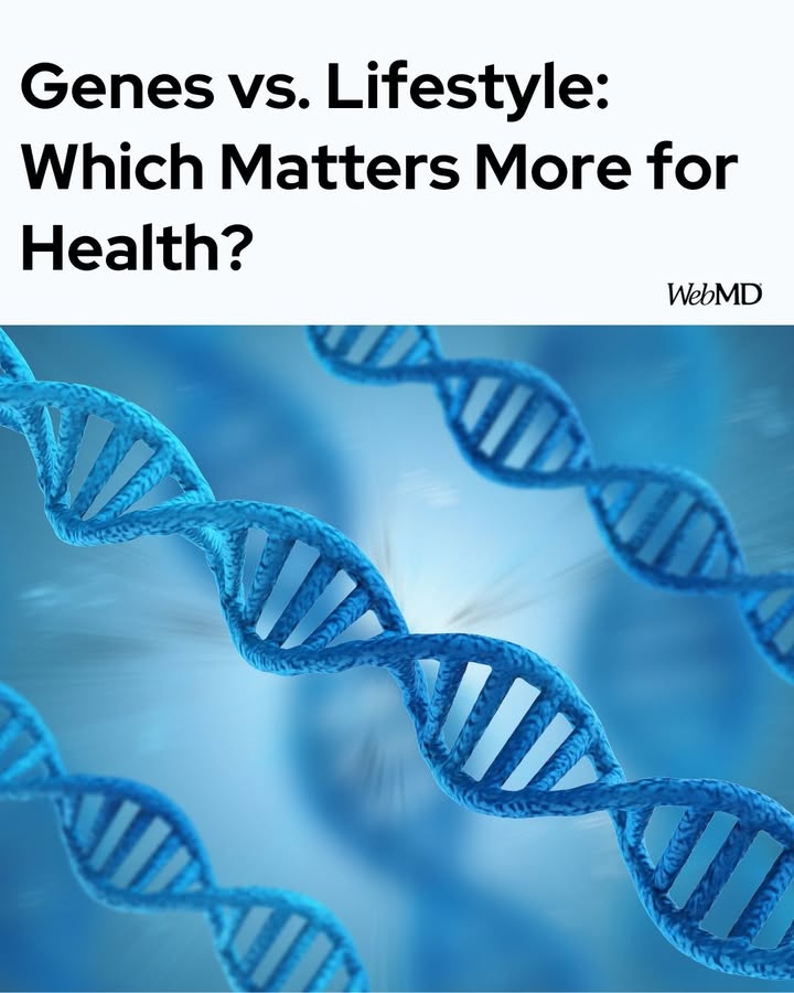 WebMD's tweet photo. The reality is that, for most people, lifestyle habits like eating healthy foods and getting regular exercise have a big effect on age-linked health problems like heart disease, type 2 diabetes, cancer, and Alzheimer’s disease. https://t.co/9CuIBMbfEy https://t.co/kpz0uXgI4g