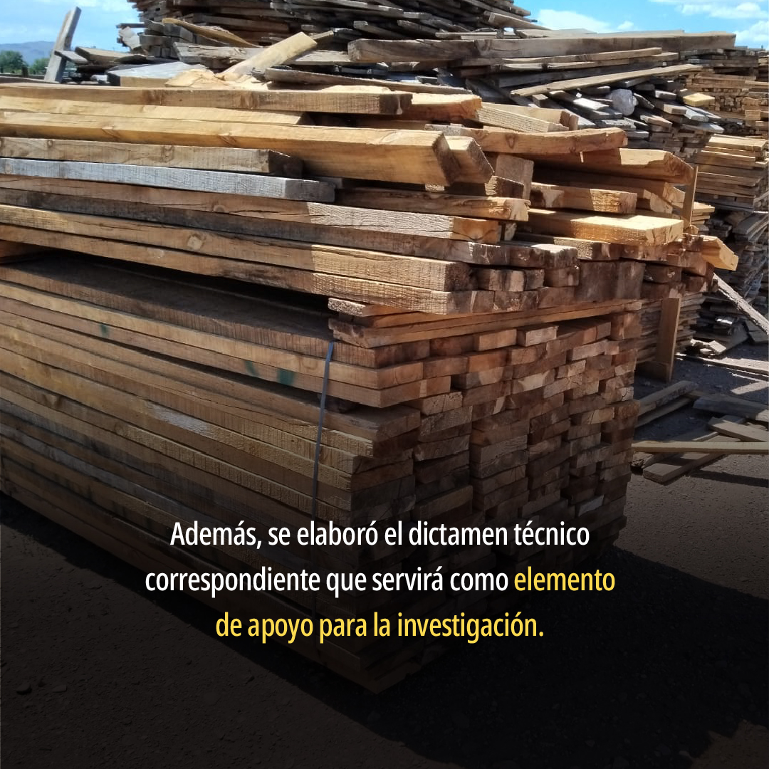 PROFEPA_Mx's tweet photo. En el municipio de Nuevo Casas Grandes, #Chihuahua, participamos en un cateo de la @FGRMexico como coadyuvante en el proceso de integración de la carpeta de investigación.

📌 Lee más ➡️ https://t.co/Ej1MtvvhFq https://t.co/Nqc9mzmQL1