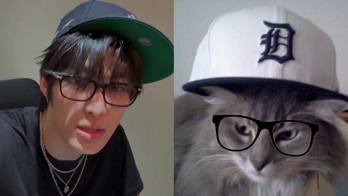 ilyyechan's tweet photo. #kittyechan on national kitten day https://t.co/CsEx4UN45V