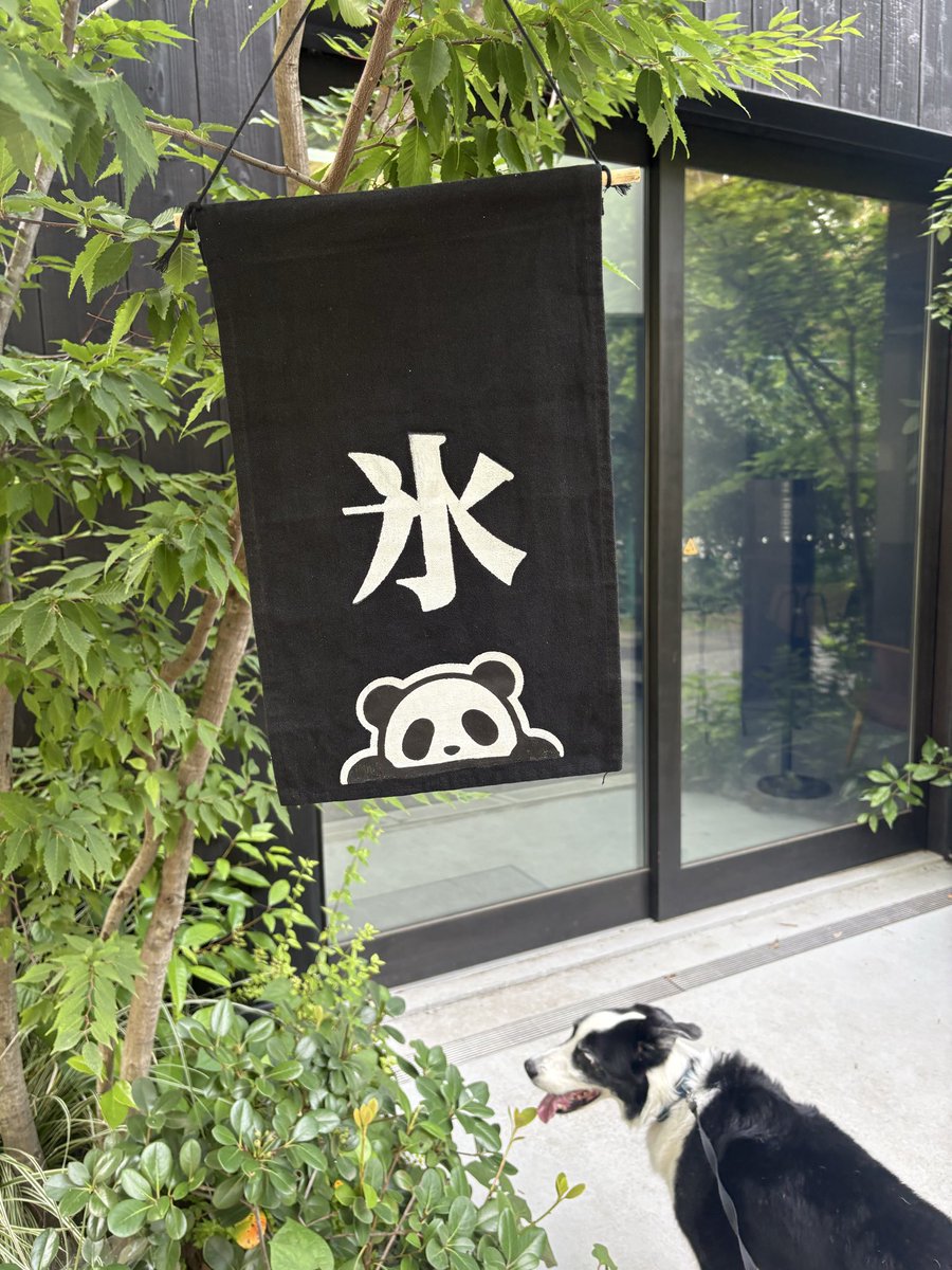 naoko_R's tweet photo. おはよう
今日朝からあちぃよ🌞 https://t.co/4VDSP86dIZ