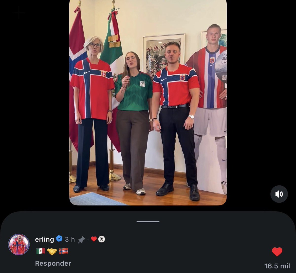 ponyoogirl's tweet photo. hasta haaland entendió mejor el desmadre de los mexicanos que muchos otros, increíble https://t.co/gaU08kc1No