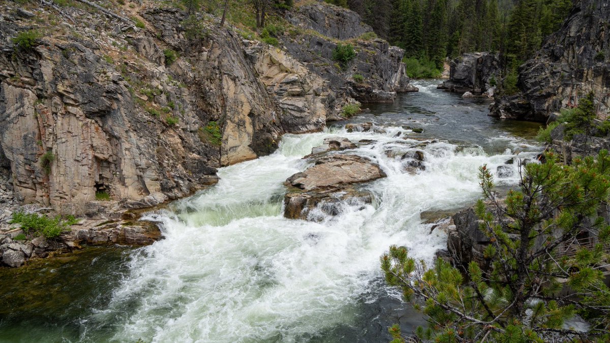 NINP_org's tweet photo. There are 2.4 million acres in central Idaho with no roads in or out.

The Frank Church-River of No Return Wilderness is the largest contiguous wilderness in the Lower 48. It's bigger than Yellowstone and Grand Teton combined.

The only way in is on foot, horseback, boat, or small plane.

In the middle of it is the Salmon River, which carves a canyon deeper than the Grand Canyon. The name comes from early boatmen who could ride the current down, but couldn't fight it back upstream.

The Middle Fork has around 100 rapids in 100 miles. Natural hot springs sit along the riverbanks. Native cutthroat trout still swim in it, and they’re healthy enough that anglers travel from around the world to fish them.

More than 2,500 miles of trails run through the wilderness. Elk, wolverines, black bears, mountain lions, and wolves all still move through the land the way they always have. 

In 1995, it became one of the first places in the country where wolves were reintroduced.

Most Americans will never set foot here. 

Many don’t even know it exists. That doesn't make it any less worth keeping wild.