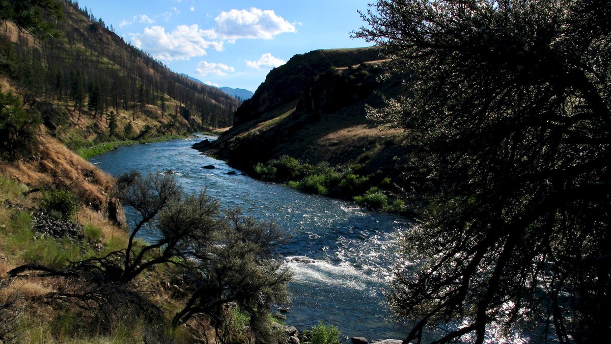 NINP_org's tweet photo. There are 2.4 million acres in central Idaho with no roads in or out.

The Frank Church-River of No Return Wilderness is the largest contiguous wilderness in the Lower 48. It's bigger than Yellowstone and Grand Teton combined.

The only way in is on foot, horseback, boat, or small plane.

In the middle of it is the Salmon River, which carves a canyon deeper than the Grand Canyon. The name comes from early boatmen who could ride the current down, but couldn't fight it back upstream.

The Middle Fork has around 100 rapids in 100 miles. Natural hot springs sit along the riverbanks. Native cutthroat trout still swim in it, and they’re healthy enough that anglers travel from around the world to fish them.

More than 2,500 miles of trails run through the wilderness. Elk, wolverines, black bears, mountain lions, and wolves all still move through the land the way they always have. 

In 1995, it became one of the first places in the country where wolves were reintroduced.

Most Americans will never set foot here. 

Many don’t even know it exists. That doesn't make it any less worth keeping wild.