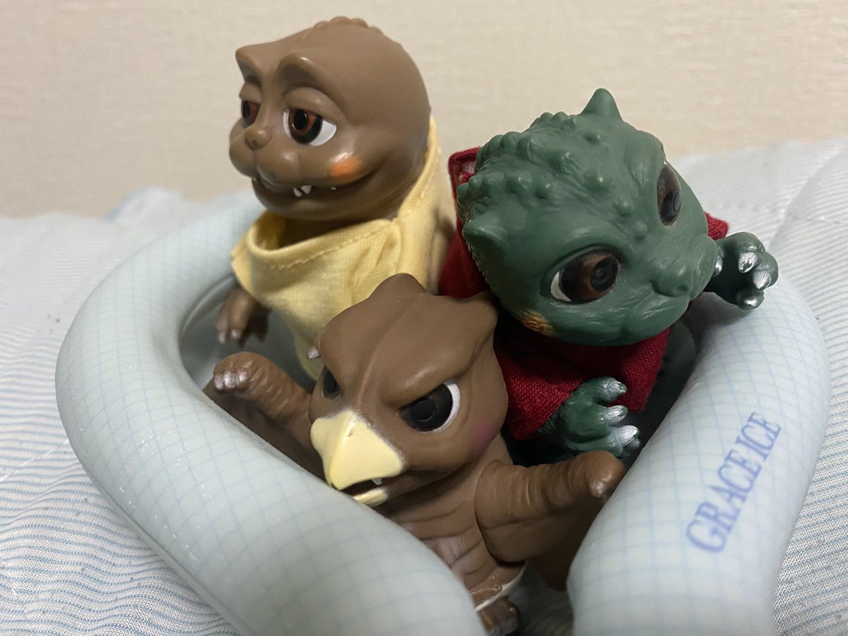 1978Dreamwaker's tweet photo. 7月11日(土)
おはようございます！
夏。就寝時にも、ネッククーラーが必要になってまいりました。
#ゴジばん
#ゴジゴジライフ https://t.co/J0JZkmB3BJ