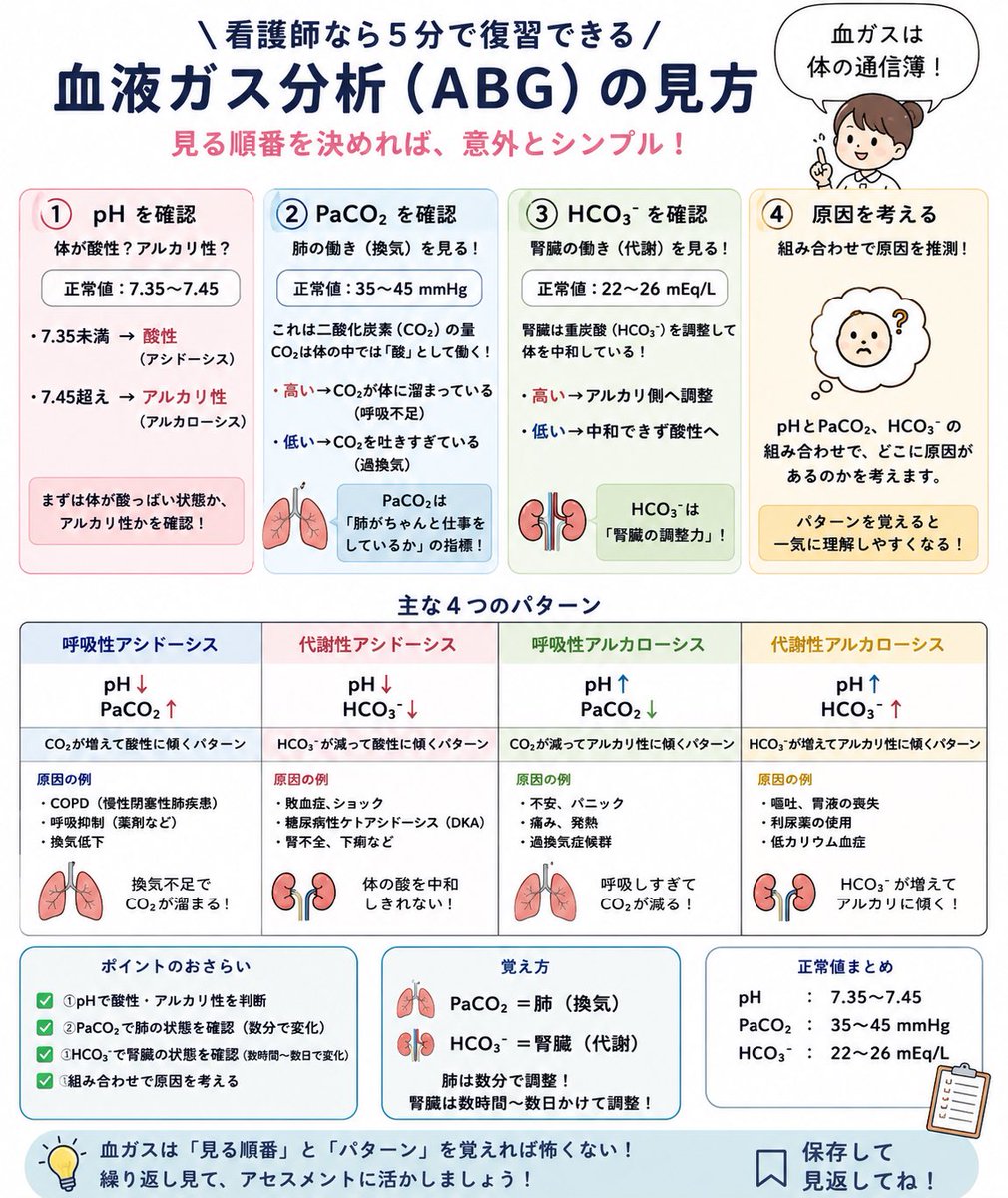 iroiroYI's tweet photo. 【看護師なら5分で復習できる血液ガス分析】

血液ガス（ABG）は難しく見えますが、見る順番を決めれば意外とシンプルです。

① pH（酸性？アルカリ性？）
正常：7.35〜7.45

・7.35未満 → 酸性（アシドーシス）
・7.45超え → アルカリ性（アルカローシス）

まずは「体が酸っぱい状態なのか、アルカリ性なのか」を確認します。

② PaCO₂（肺の働き）
正常：35〜45 mmHg

これは二酸化炭素の量。

CO₂は体の中では「酸」として働きます。

・高い → CO₂が体に溜まっている（呼吸不足）
・低い → CO₂を吐きすぎている（過換気）

つまり、PaCO₂は「肺がちゃんと仕事をしているか」の指標です。

③ HCO₃⁻（腎臓の働き）
正常：22〜26 mEq/L

腎臓は重炭酸（HCO₃⁻）を調節して体を中和しています。

・高い → アルカリ側へ調整
・低い → 中和できず酸性へ

つまり、HCO₃⁻は「腎臓の調整力」です。

④ 原因を考える

● pH↓＋PaCO₂↑
→ 呼吸性アシドーシス
（COPD、呼吸抑制など）

● pH↓＋HCO₃⁻↓
→ 代謝性アシドーシス
（敗血症、糖尿病性ケトアシドーシス、腎不全など）

● pH↑＋PaCO₂↓
→ 呼吸性アルカローシス
（不安、痛み、過換気など）

● pH↑＋HCO₃⁻↑
→ 代謝性アルカローシス
（嘔吐、利尿薬など）

【覚え方】

🫁 PaCO₂＝肺
🩺 HCO₃⁻＝腎臓

肺は数分で調整。
腎臓は数時間〜数日かけて調整。

この2つが分かれば、血ガスの見え方が一気に変わります。

保存して夜勤前に見返してください👍

#看護師 #看護学生 #血液ガス #ABG #医療