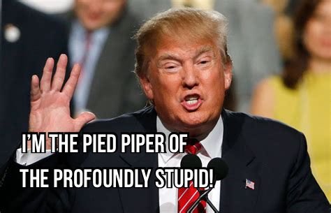 steveofholt's tweet photo. @BillMarus @DougWahl1 @MDease2 Bill, you’re an excellent example of “Deuterostomes”. It means when you developed in the womb like every other human, your a$$hole formed before any other opening. This means that at one point Bill you were nothing but an a$$hole and you’ve never developed past this stage. https://t.co/gmCeNa5J0Z