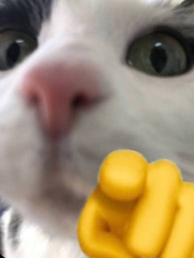 Jamcat04 tweet media