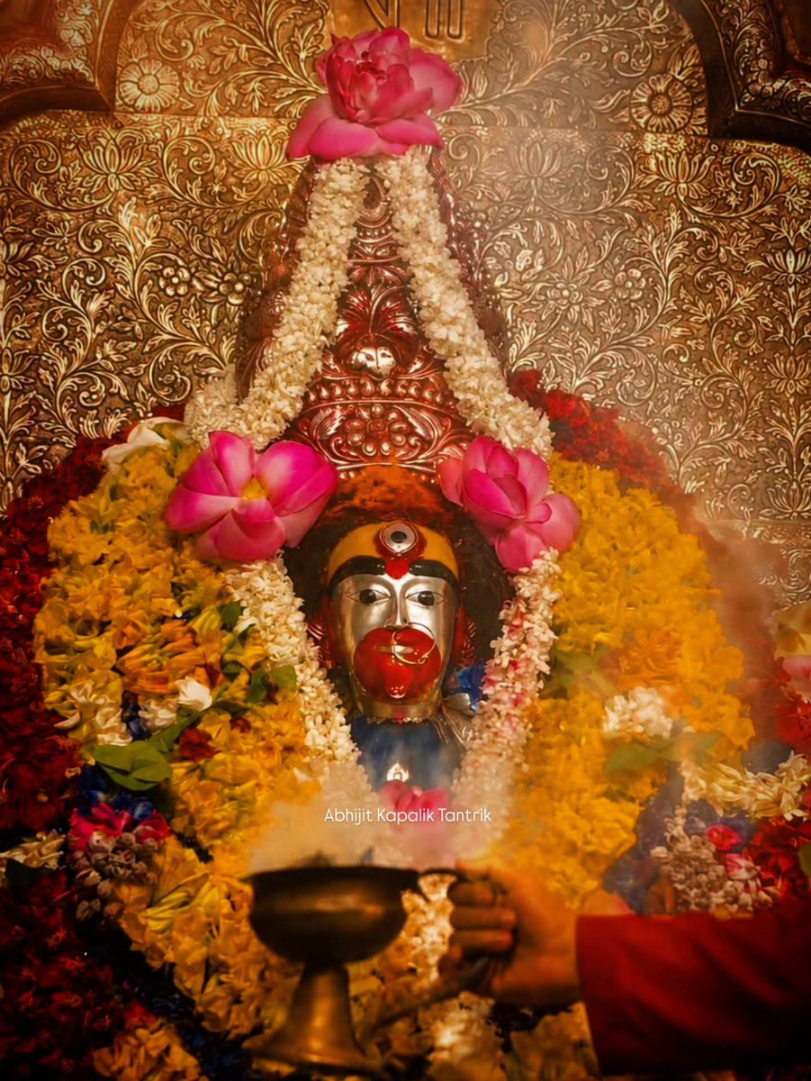 immortaldharma's tweet photo. Maa Protectecting all https://t.co/po5bGBwl8Q