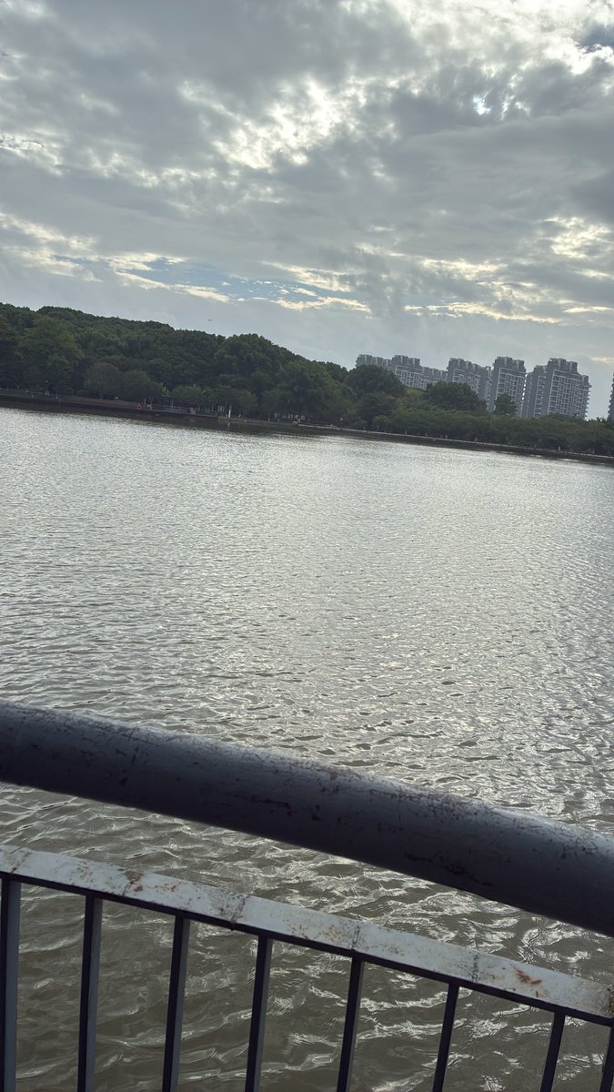 caifuzy's tweet photo. 散步第二天 https://t.co/I4SOfuqgSF