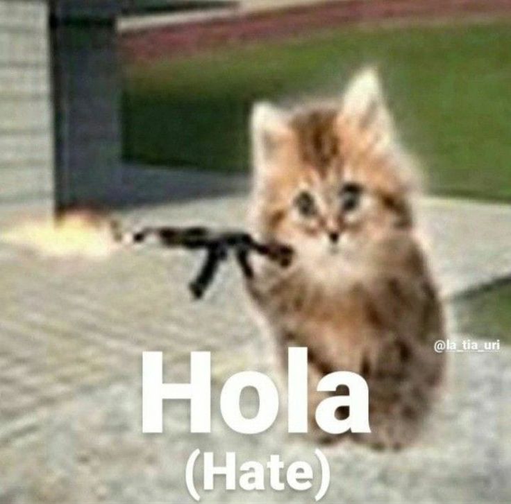 Prico_0's tweet photo. Se nota que es IA en la esquina derecha se ve claramente el reflejo de mi maldita envidia https://t.co/LoWiHEOG4p