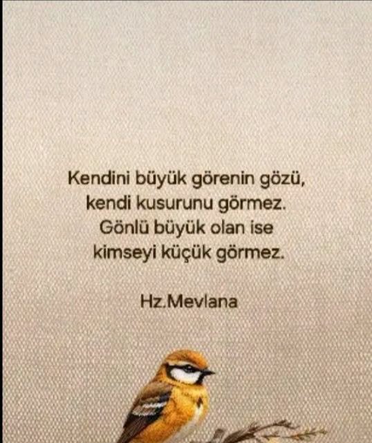 MMsoydogan's tweet photo. https://t.co/XqPQxk4G7V