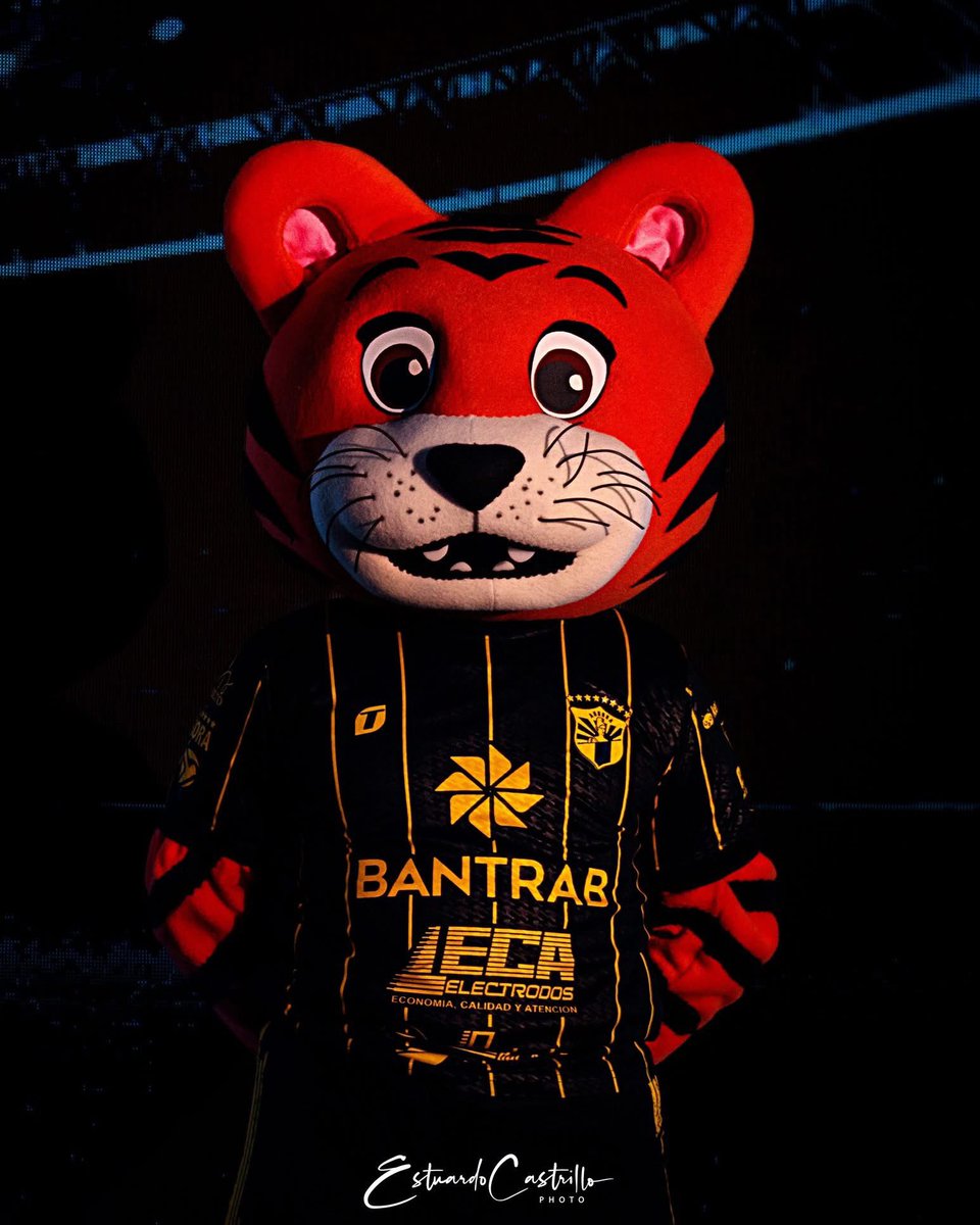 EstuardoPhoto's tweet photo. @OficialAuroraFC presenta la nueva imagen de su mascota.
#deportesbantrab
#ElFutbolNosUne https://t.co/bYsMxPeaSS