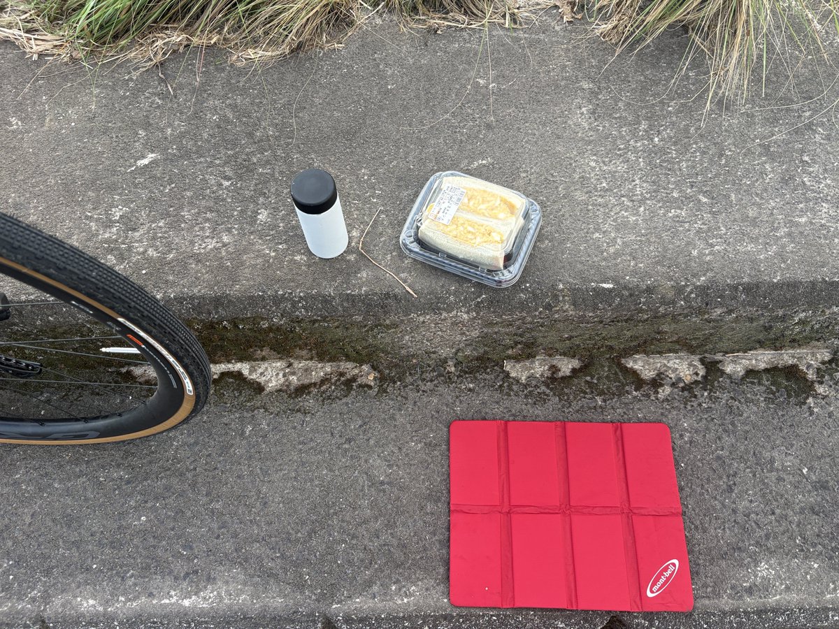 kenkifu's tweet photo. 海まで行くかと
走り出したが
波浪警報出てるわ
なんか風つよつよなので、
明磧橋で折り返し
近所で朝ごパン🥪を
済ます👍
#cannondale
#topstonecarbon https://t.co/niWWvt9x4t