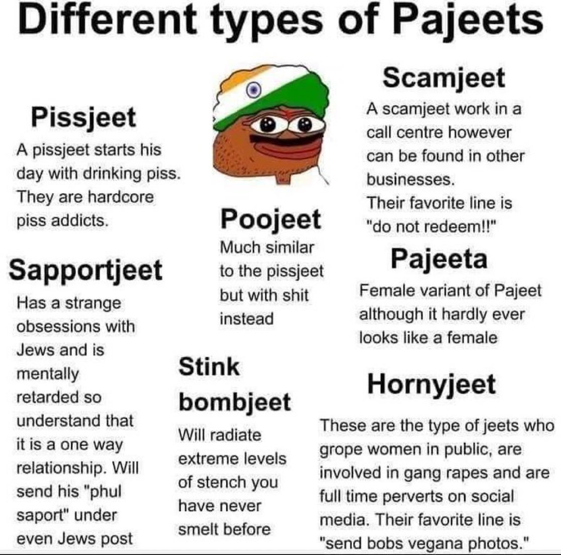 Spectre1730's tweet photo. @Kash_Patel Do everyone a favor. Take that "gold plated jet ski" out into the deepest water possible and jump off it, you retarded fucking curry ni99er. https://t.co/AyF9Wfgqwy
