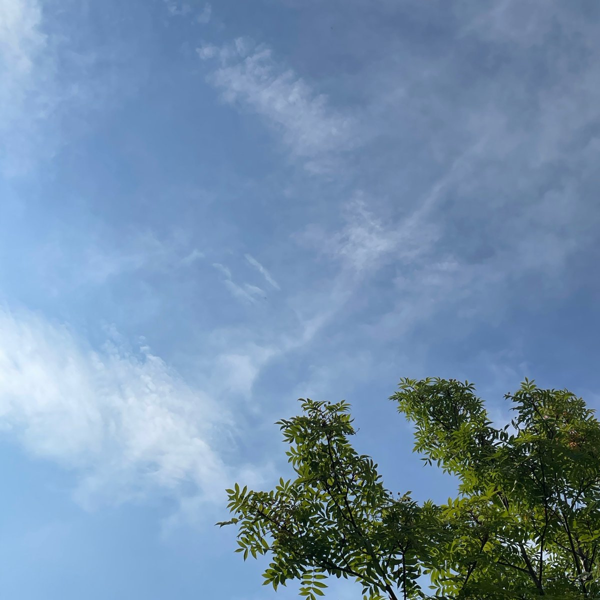 esk0qu3's tweet photo. おはようございます♪

この空…
どこまでも、どこまでも
続いているんですよね

　‥‥なんか いいですよね 😊

#8時の空 https://t.co/HYvn8Xi8S8